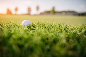 golf ball on course